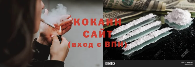 COCAIN Fish Scale  Алапаевск 